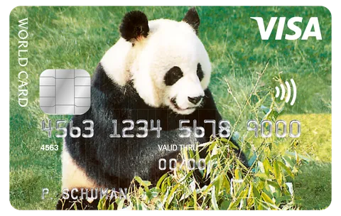 ICS Visa World Card Panda — kaartafbeelding van de aanbieder